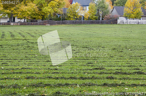 Image of grass field mowed