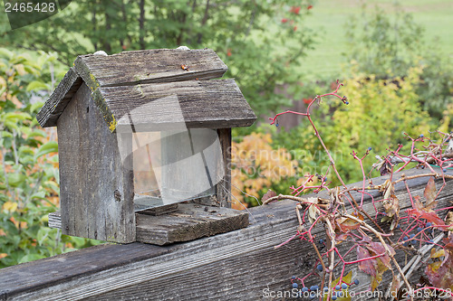 Image of old bird feeder