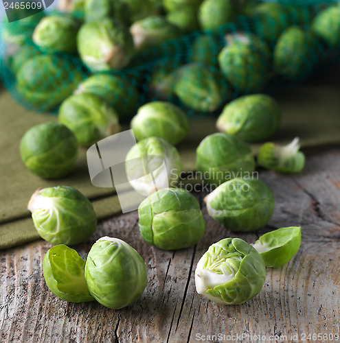 Image of Brussels sprouts cabbage