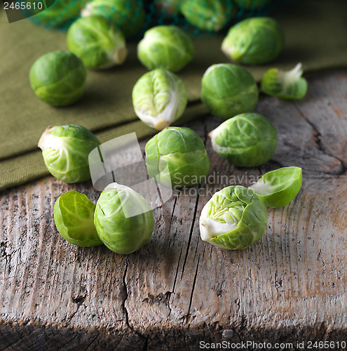 Image of Brussels sprouts cabbage