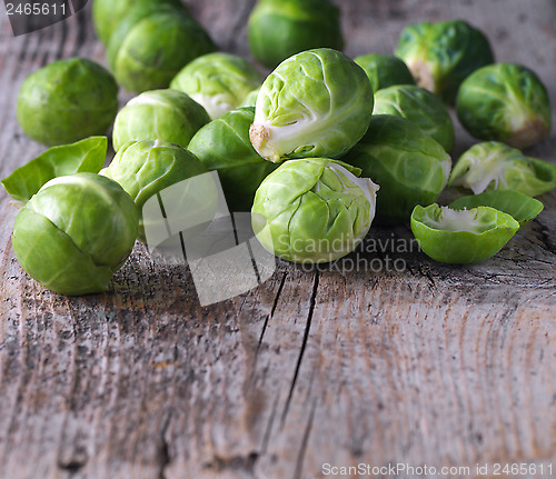 Image of Brussels sprouts cabbage