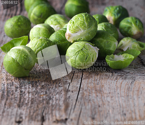 Image of Brussels sprouts cabbage