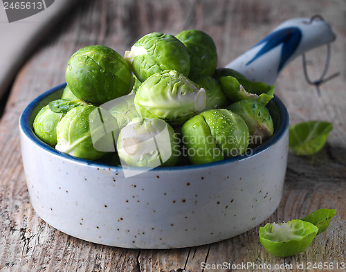 Image of Brussels sprouts cabbage