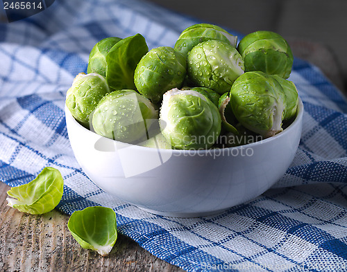 Image of Brussels sprouts cabbage