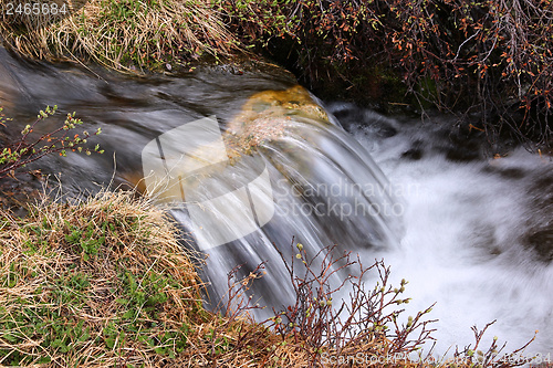 Image of Stream in Colorado