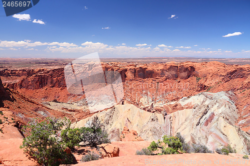 Image of Canyonlands National Park