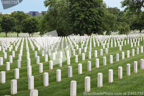 Image of Arlington National Cemetery