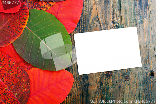 Image of Bright autumn leaves and card.