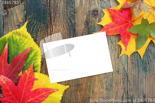 Image of Card and autumn leaves.