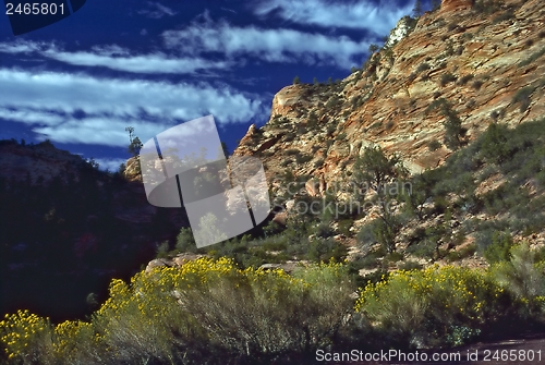 Image of Zion National Park, Utah