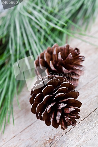 Image of christmas fir tree with pinecones