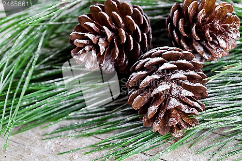 Image of christmas fir tree with pinecones