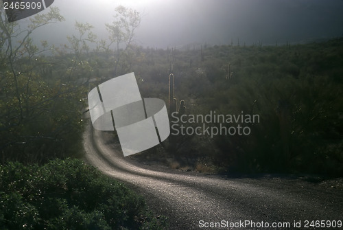 Image of Saguaro National Park