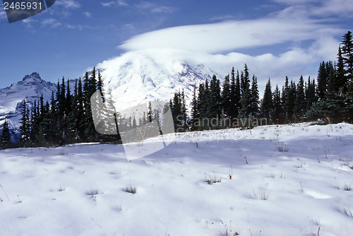 Image of Mount Rainier