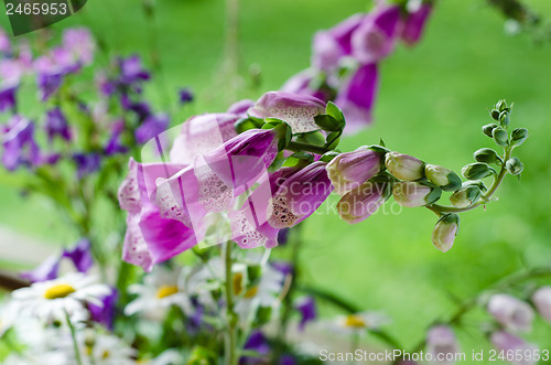 Image of Bouquet of beautiful summer flowers, close-up  