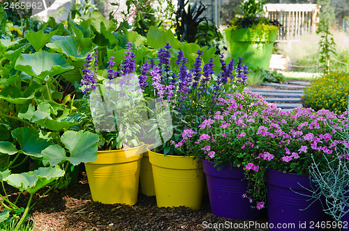 Image of Beautiful flowers pots stand in the garden, close-up  