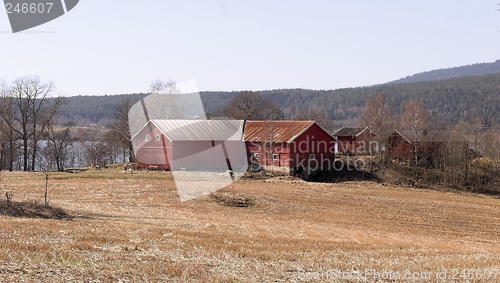 Image of Farm in the spring