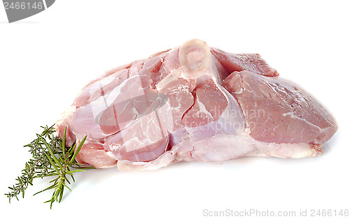 Image of calf meat