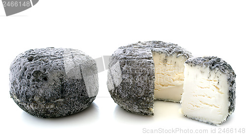 Image of goat cheeses