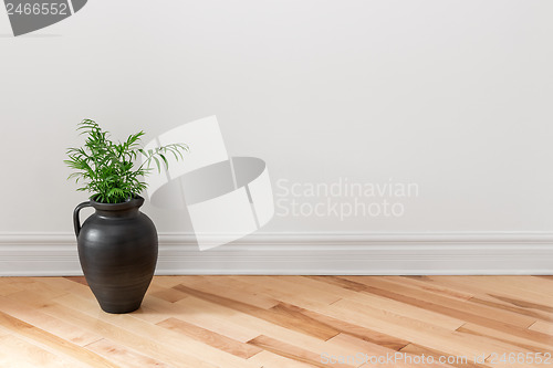 Image of Amphora with green plant decorating a room