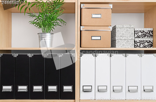 Image of Shelves with boxes, folders and green plant