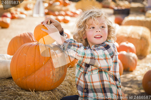 Image of Little Boy Sitting and Holding His Pumpkin at Pumpkin Patch
