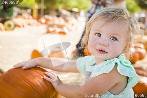 Image of Adorable Baby Girl Having Fun at the Pumpkin Patch
