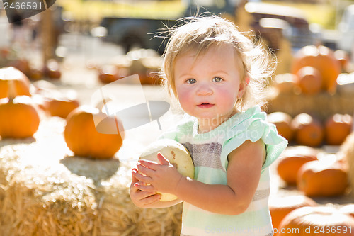 Image of Adorable Baby Girl Holding a Pumpkin at the Pumpkin Patch
