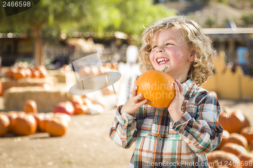 Image of Little Boy Holding His Pumpkin at a Pumpkin Patch
