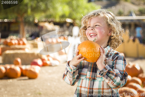 Image of Little Boy Holding His Pumpkin at a Pumpkin Patch
