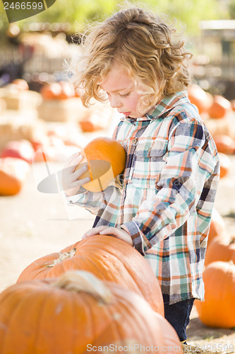 Image of Little Boy Holding His Pumpkin at a Pumpkin Patch
