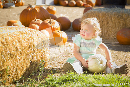 Image of Adorable Baby Girl Holding a Pumpkin at the Pumpkin Patch
