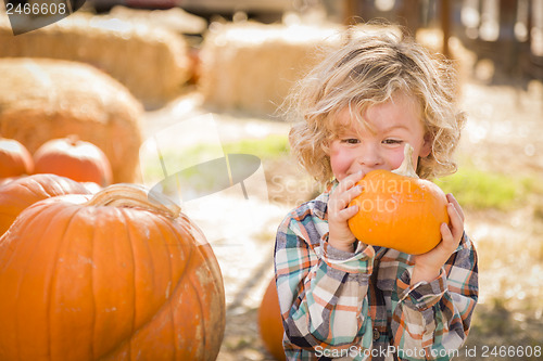 Image of Little Boy Sitting and Holding His Pumpkin at Pumpkin Patch
