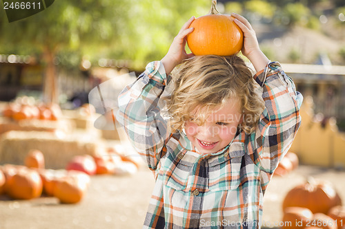 Image of Little Boy Holding His Pumpkin at a Pumpkin Patch
