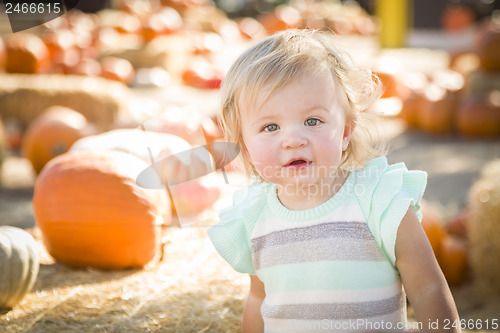 Image of Adorable Baby Girl Having Fun at the Pumpkin Patch
