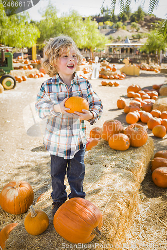 Image of Little Boy Holding His Pumpkin at a Pumpkin Patch
