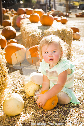 Image of Adorable Baby Girl Holding a Pumpkin at the Pumpkin Patch
