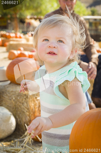 Image of Adorable Baby Girl Having Fun at the Pumpkin Patch

