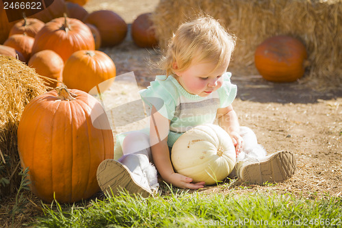 Image of Adorable Baby Girl Holding a Pumpkin at the Pumpkin Patch
