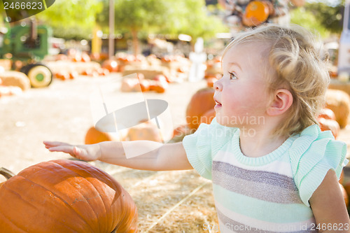 Image of Adorable Baby Girl Having Fun at the Pumpkin Patch
