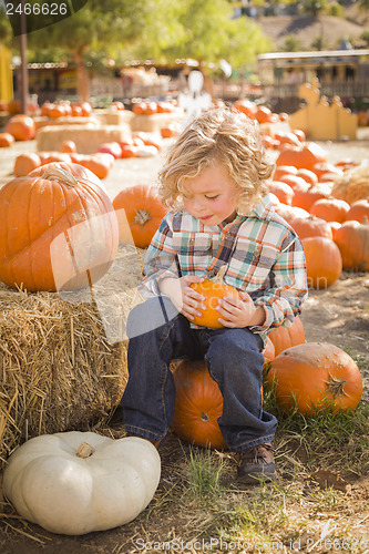 Image of Little Boy Sitting and Holding His Pumpkin at Pumpkin Patch
