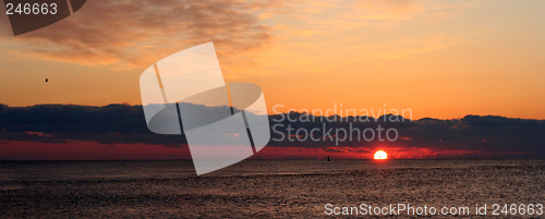Image of Sunrise at the Beach