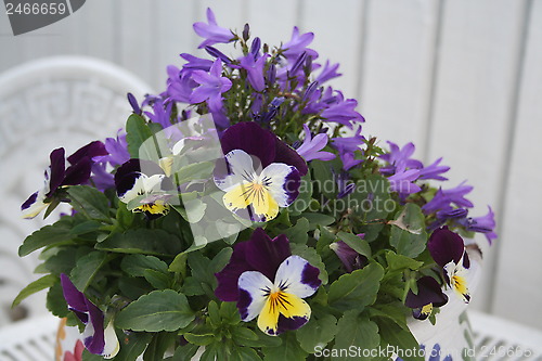 Image of Pansies and Bluebell