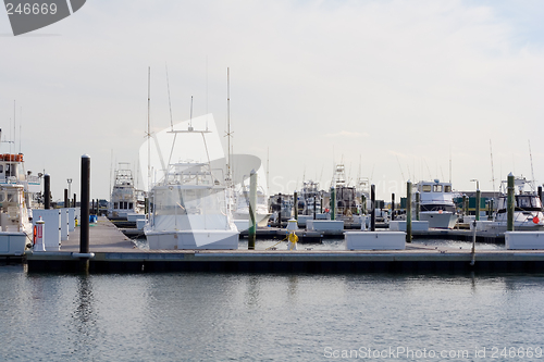 Image of Marina