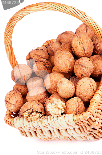 Image of Walnuts