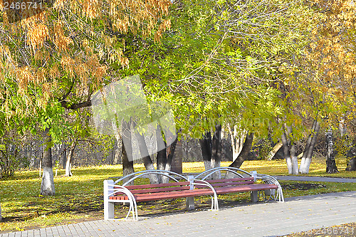 Image of Benches in autumn park.