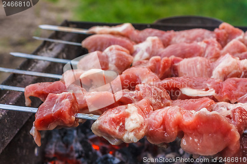 Image of Shish Kebab In Process Of Cooking On Open Fire Outdoors
