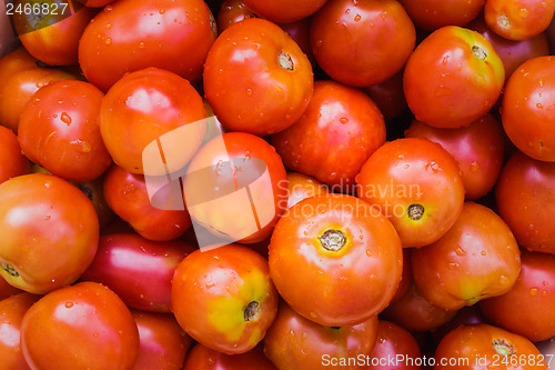 Image of Red Tomatoes Background 
