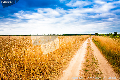 Image of Rural Countryside Road Through Fields With Wheat