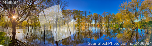 Image of Reflection Of Trees In The River At Dawn